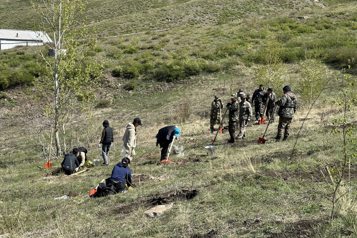 На смотровой площадке с госсимволами высадили деревья